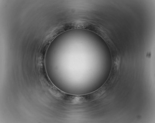 X0000112460663200908171204