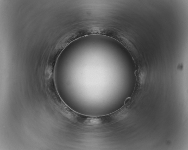 X0000112460665200908171204
