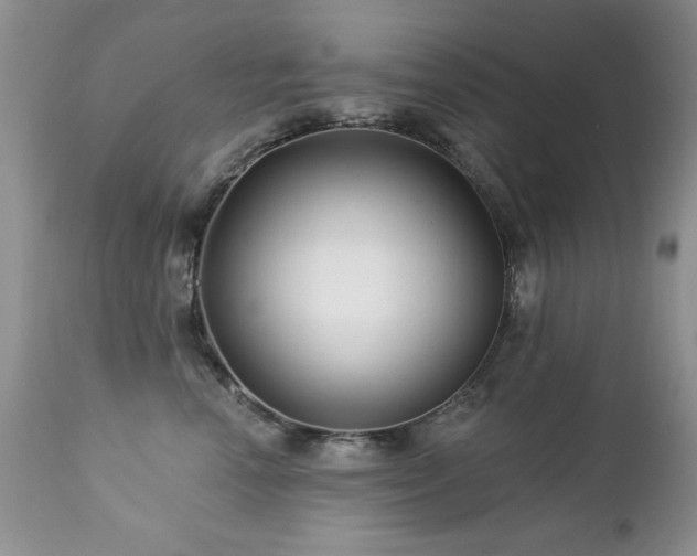 X0000112460666200908171204