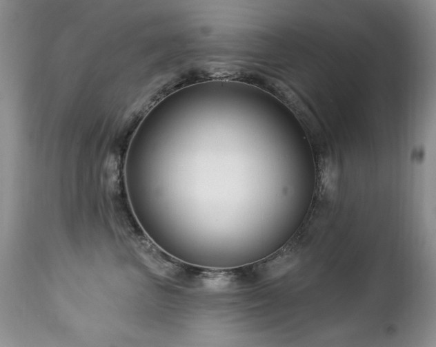 X0000112460667200908171204