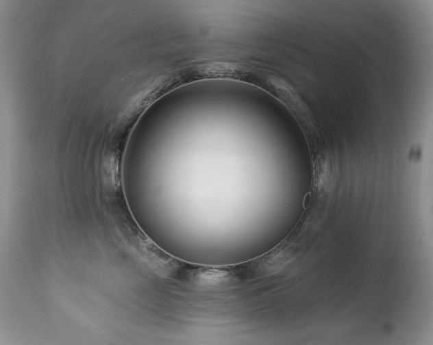 X0000112460669200908171204