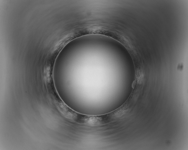 X0000112460670200908171204