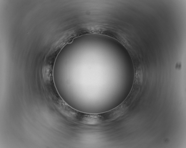 X0000112460671200908171204