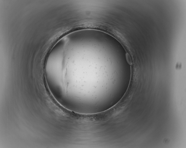 X0000112460673200908171204