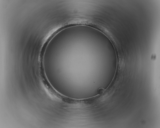 X0000112460674200908171204
