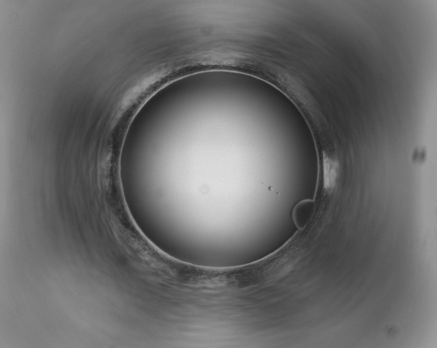 X0000112460675200908171204