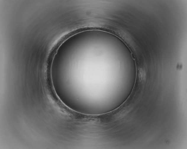 X0000112460676200908171204