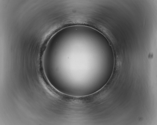 X0000112460677200908171204
