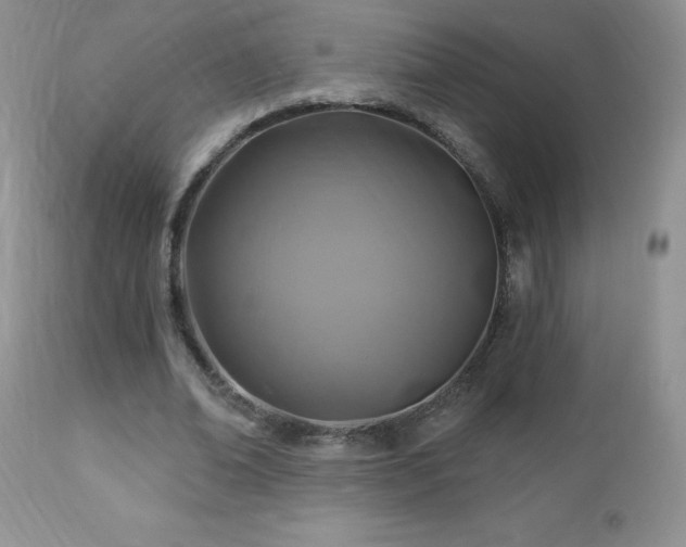 X0000112460678200908171204