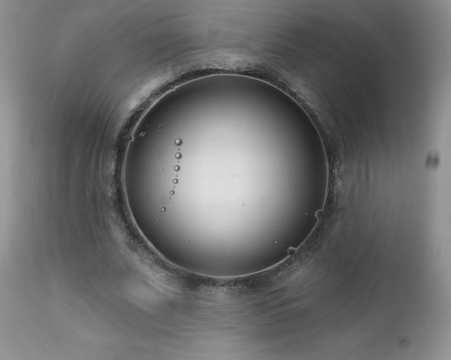 X0000112460679200908171204