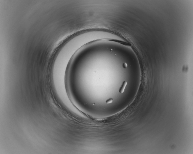X0000112460680200908171204