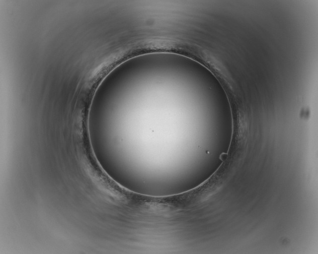 X0000112460681200908171204