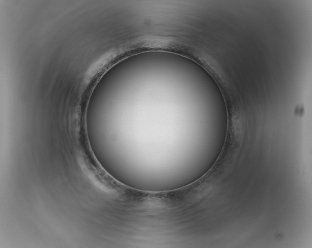X0000112460682200908171203