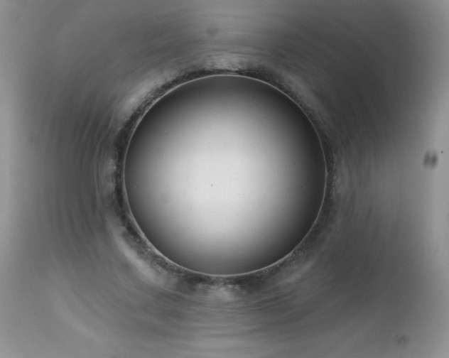 X0000112460683200908171203