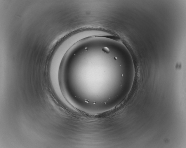 X0000112460684200908171203