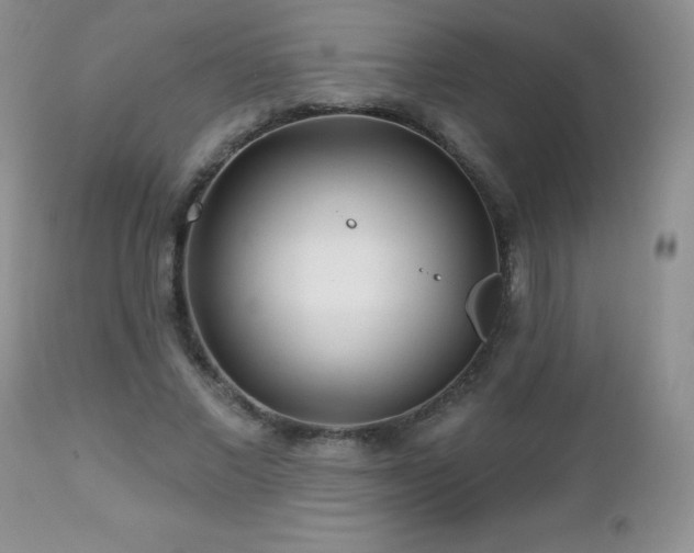 X0000112460685200908171203
