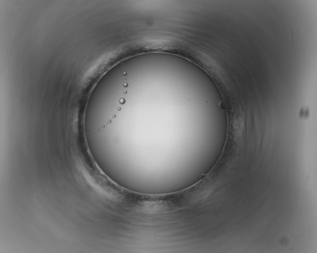 X0000112460686200908171203