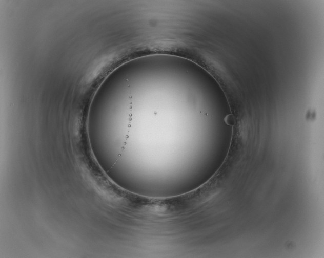 X0000112460687200908171203