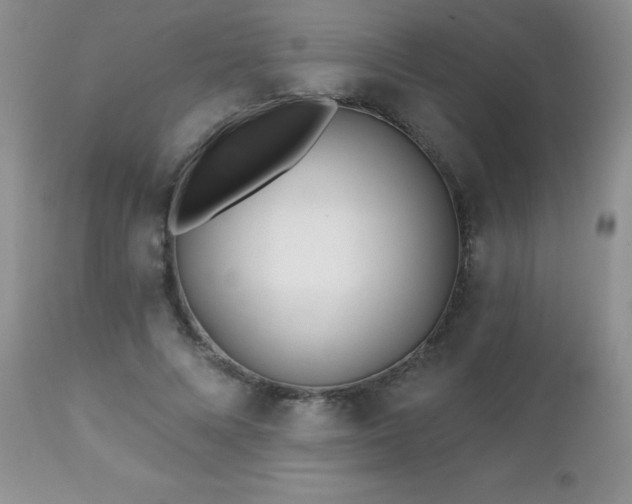 X0000112460688200908171203