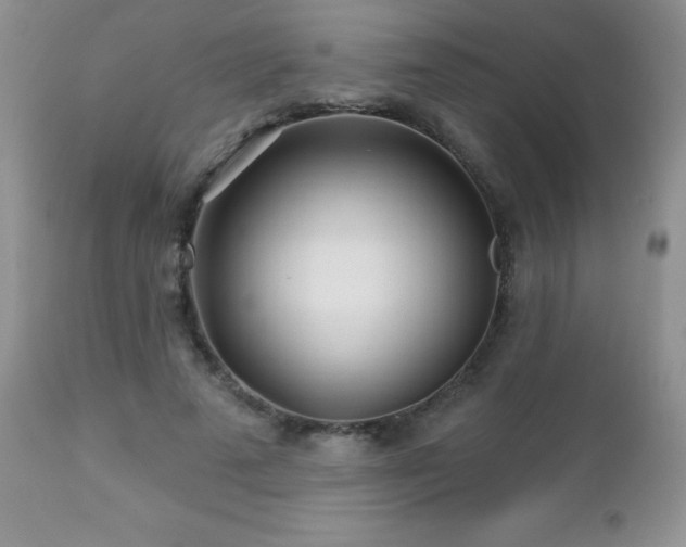 X0000112460689200908171203