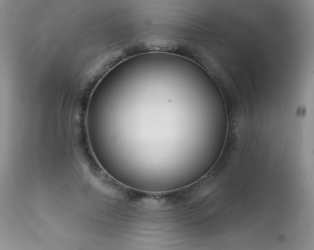 X0000112460690200908171203