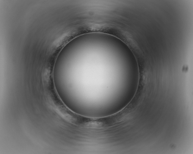 X0000112460691200908171203