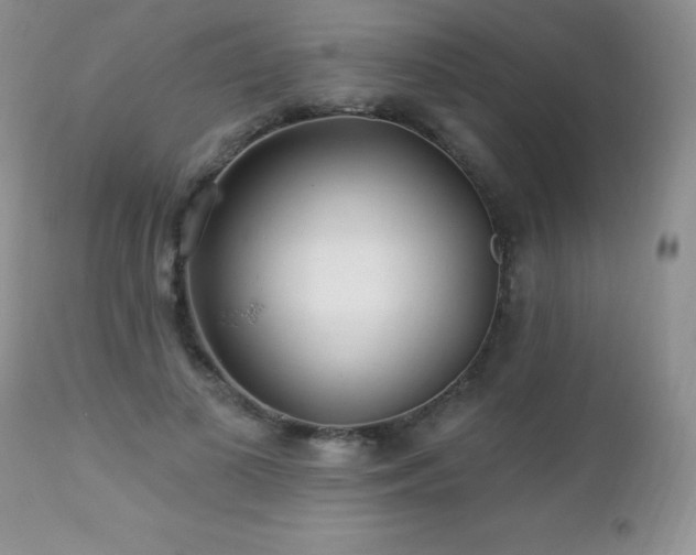 X0000112460693200908171203