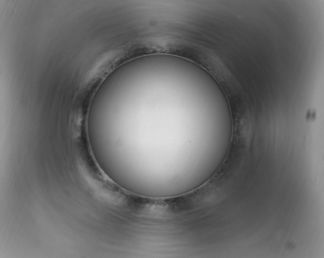 X0000112460694200908171203