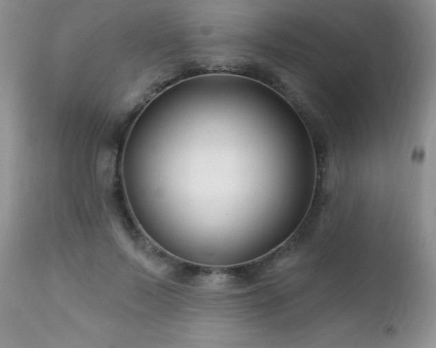 X0000112460695200908171203