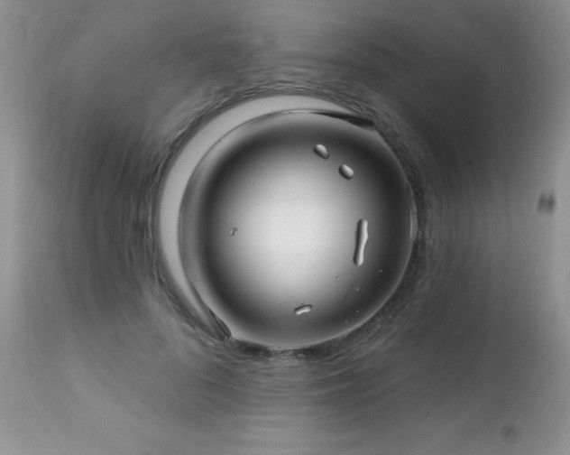X0000112460696200908171203
