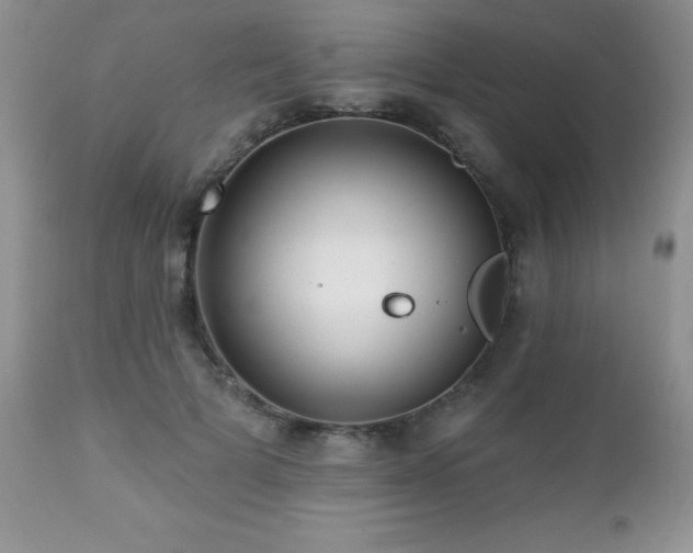 X0000112460697200908171203