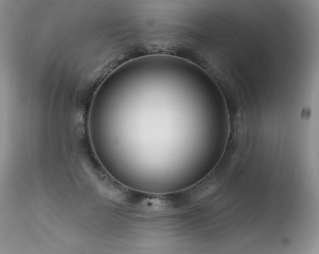 X0000112460699200908171203