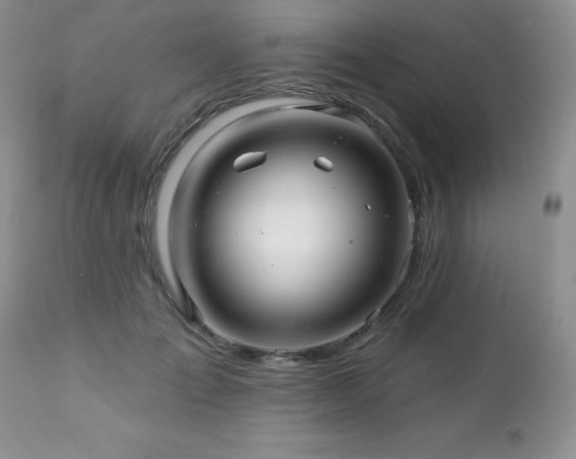 X0000112460701200908171203