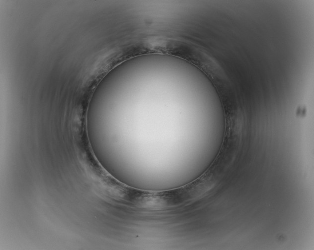 X0000112460702200908171203