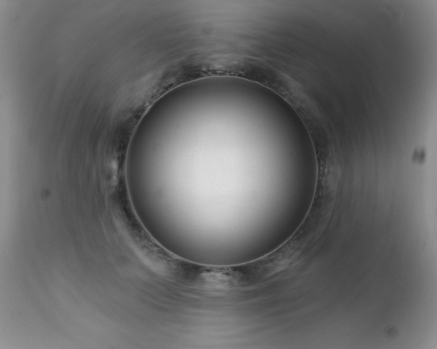 X0000112460703200908171203