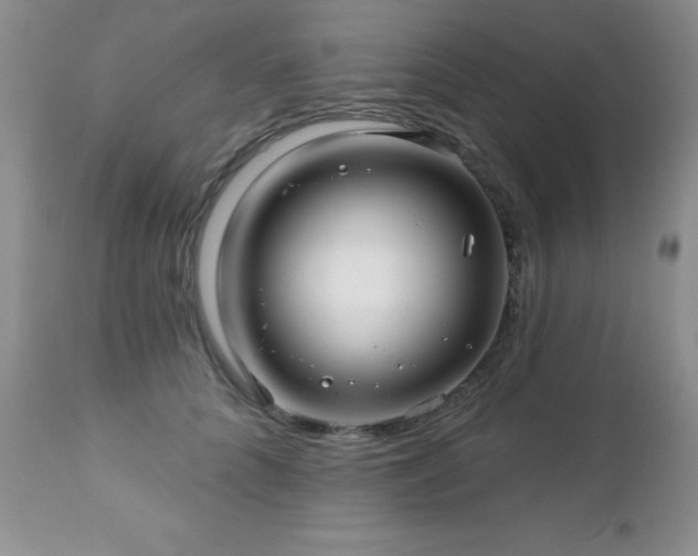X0000112460704200908171203