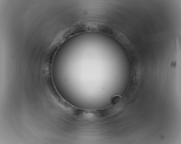 X0000112460706200908171203