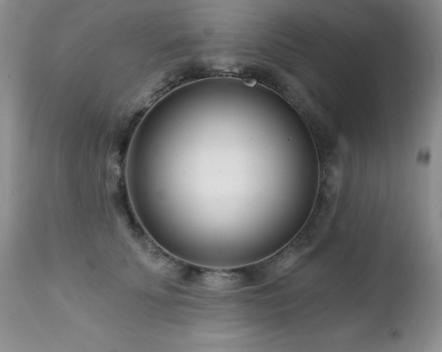 X0000112460707200908171203