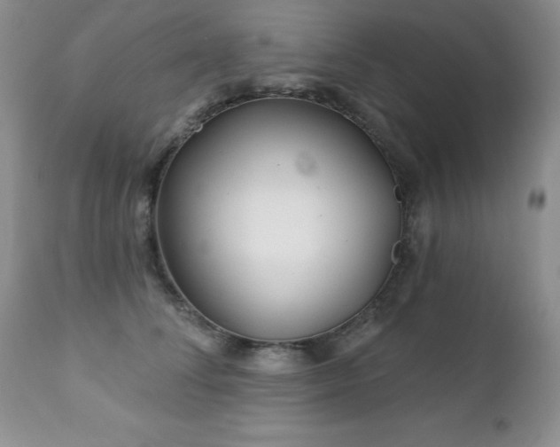 X0000112460708200908171203