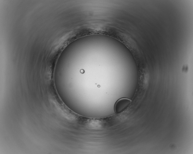 X0000112460710200908171203