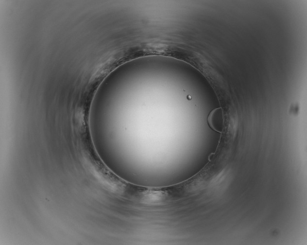 X0000112460711200908171203