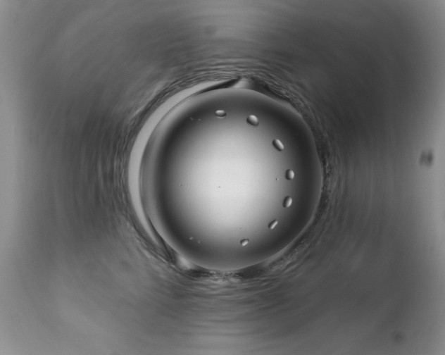 X0000112460712200908171203