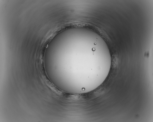 X0000112460713200908171203