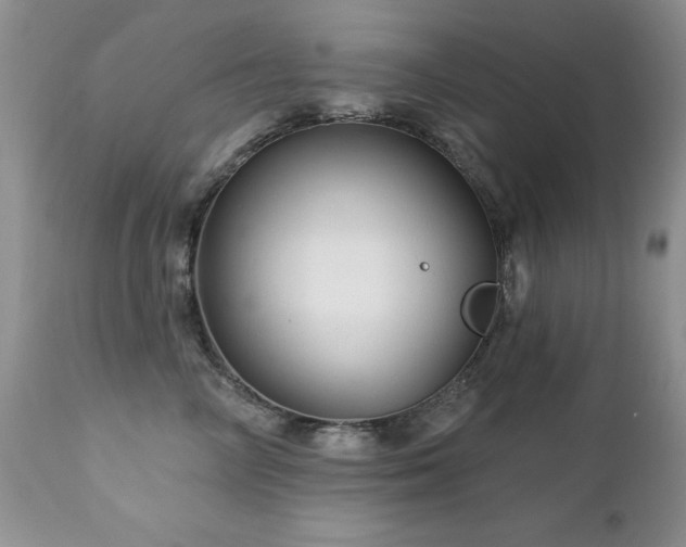 X0000112460714200908171203