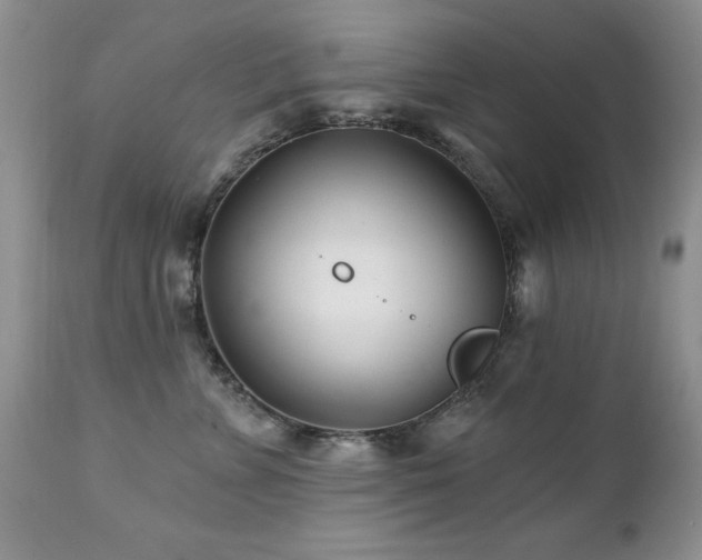 X0000112460715200908171203