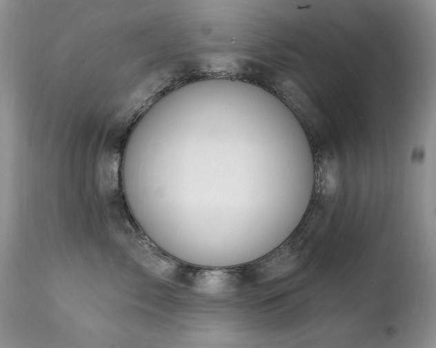 X0000112460717200908171203