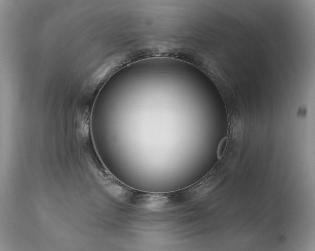 X0000112460719200908171203