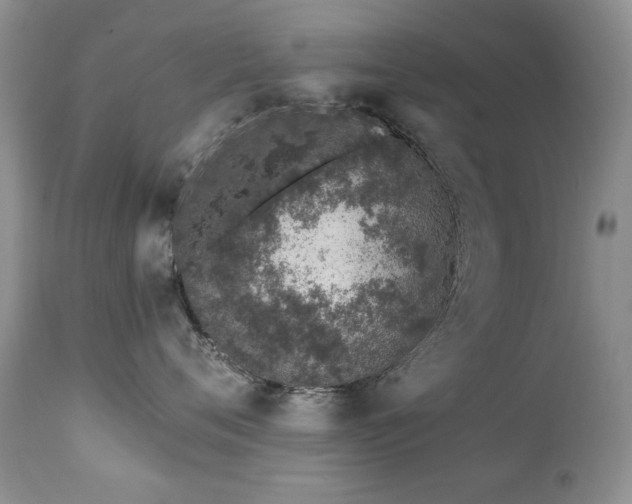 X0000112460720200908171203