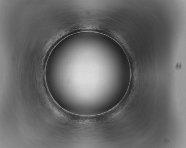 X0000112460721200908171202