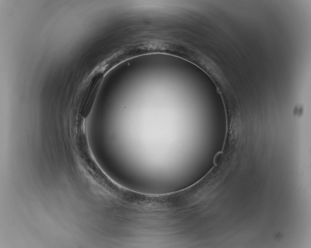 X0000112460722200908171202